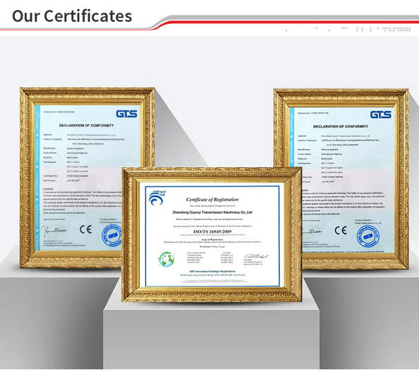 China Guanyi Transmission Machinery Co., Ltd. zertifizierungen